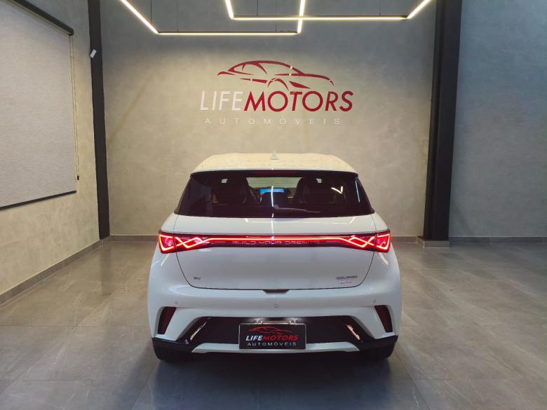 BYD - BYD / DOLPHIN GS 180EV