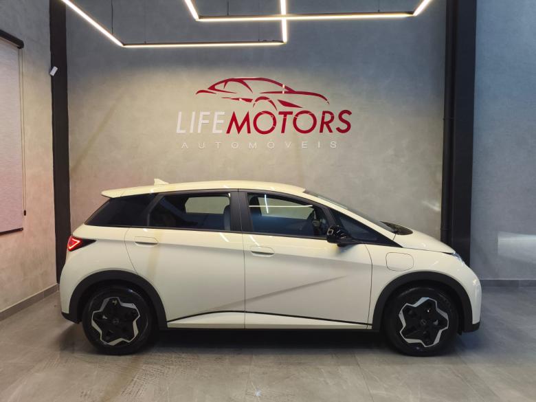 BYD - BYD / DOLPHIN GS 180EV