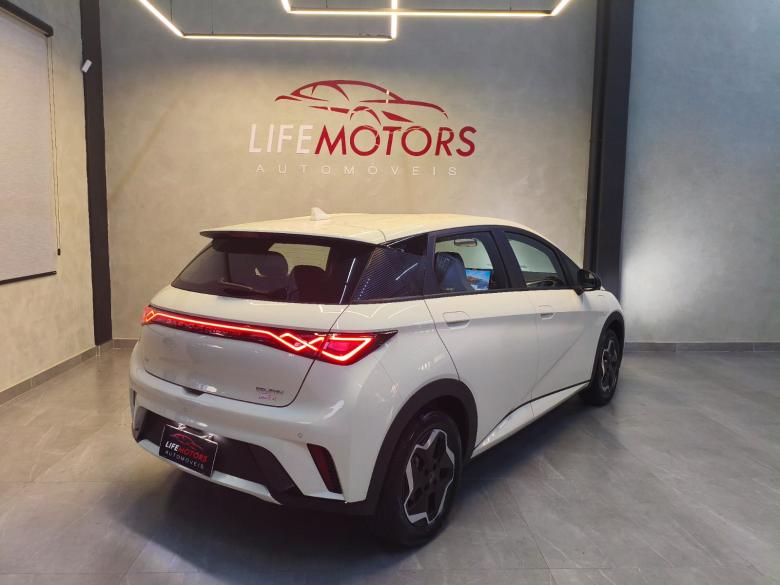 BYD - BYD / DOLPHIN GS 180EV