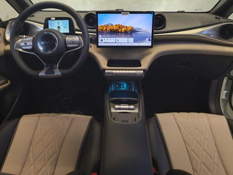 BYD - BYD / DOLPHIN GS 180EV