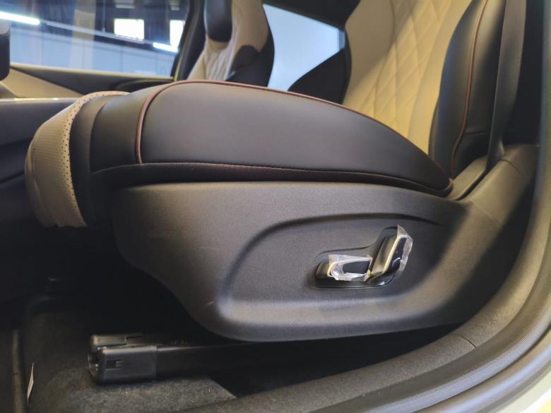 BYD - BYD / DOLPHIN GS 180EV