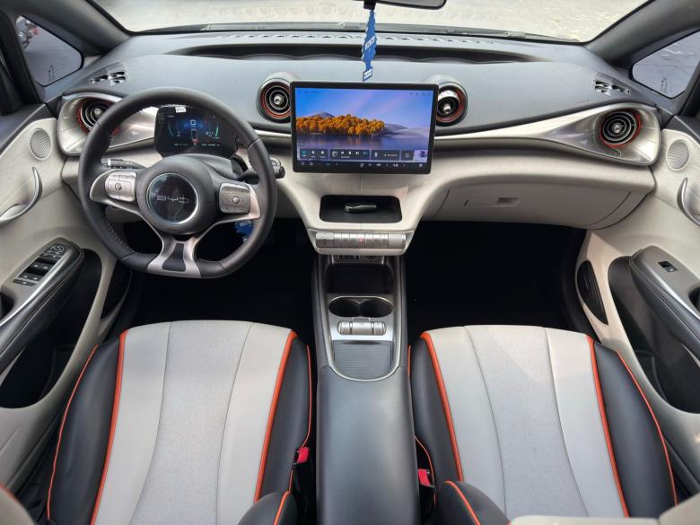 BYD - DOLPHIN GS 180 EV